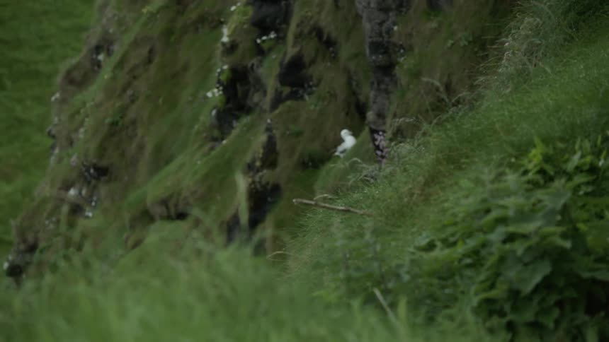 A lone bird sits in the tree