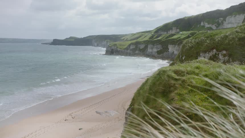 Grass blows on cliffs next to beach and ocean