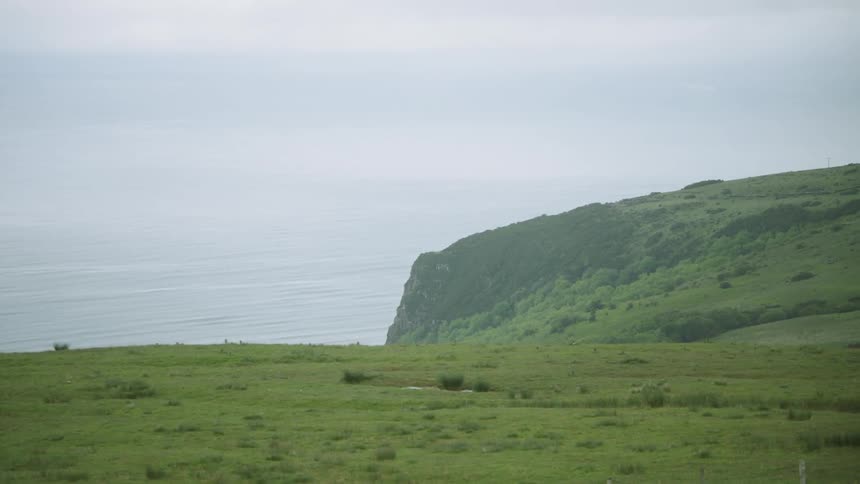 A cliff overlooking the ocean