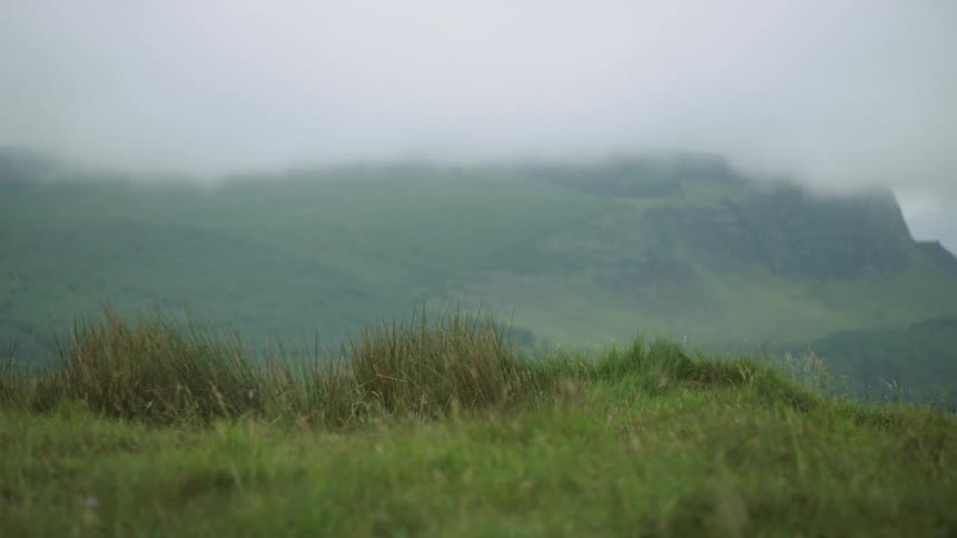 Fog covers the hillside