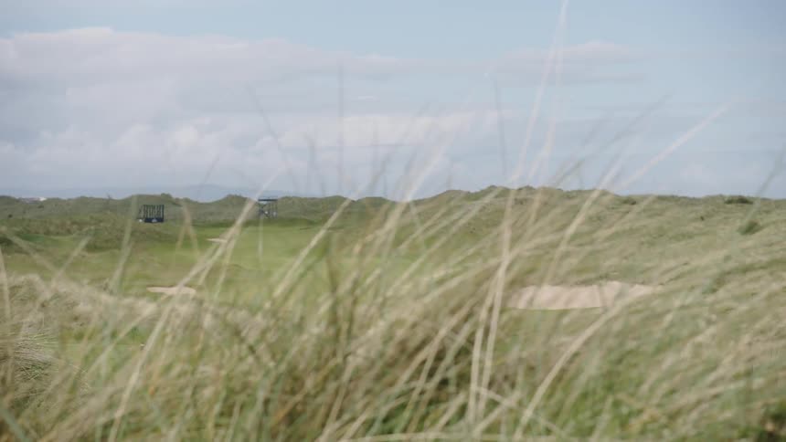 View of a rolling hills covered with grass