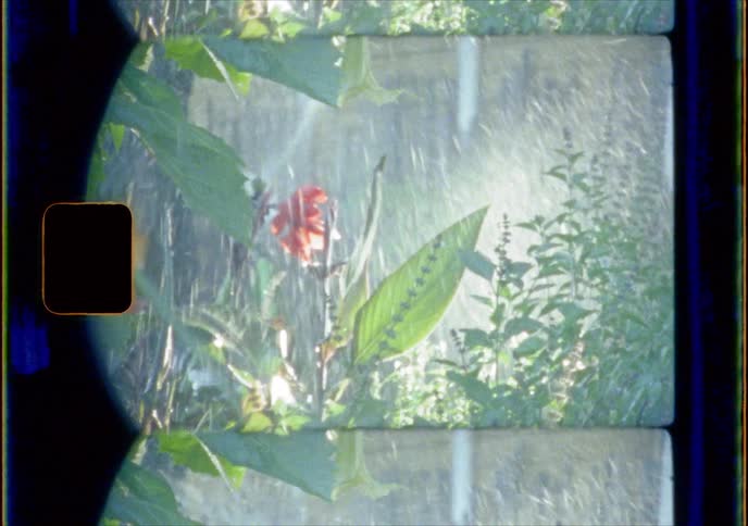 A sprinkler sprays water on flowers and plants in a garden