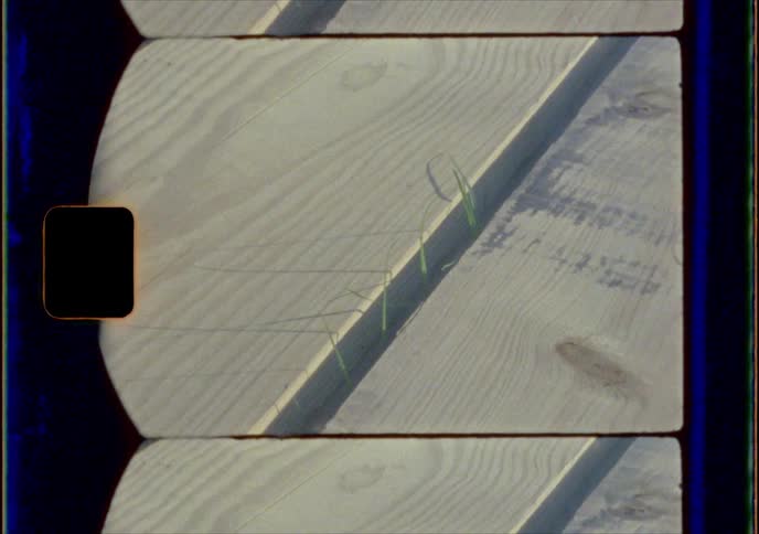 A vintage video of grass growing through floorboards