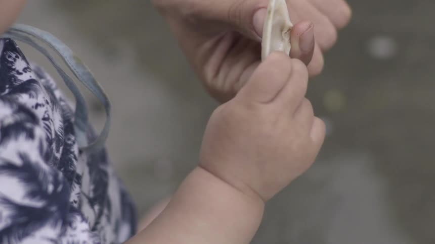 Hands Gently Holding a Fragile Shell, Exploring Its Texture and Quiet Beauty.