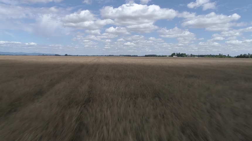Large flat plains of grass under a partly cloudy sky