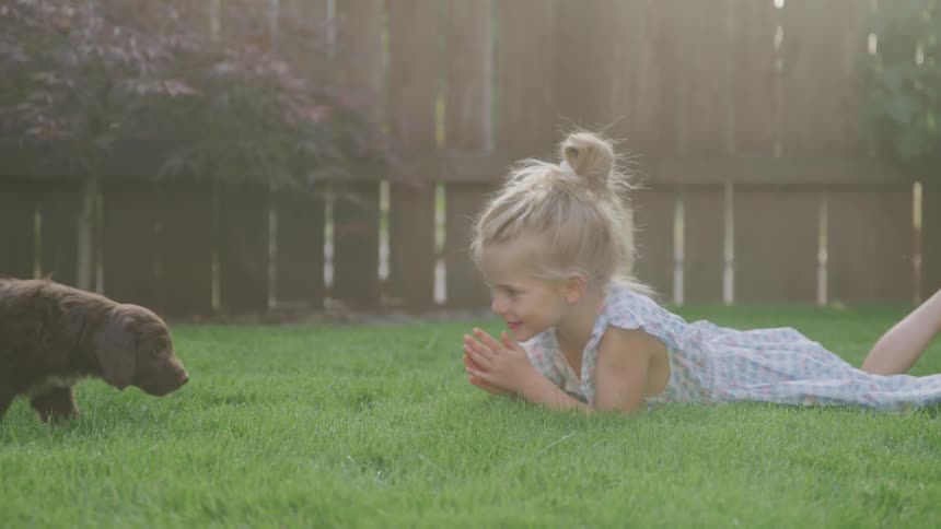 A young girl lays in a yard and claps her hands for a puppy to come to her