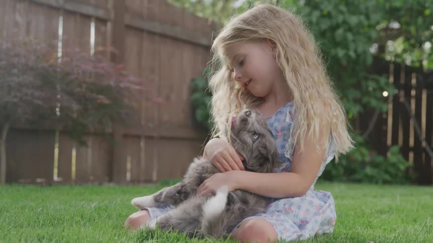 Blonde child pets puppy on the lawn during daylight