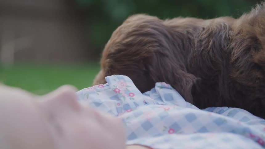 Girl laying down playing with a puppy