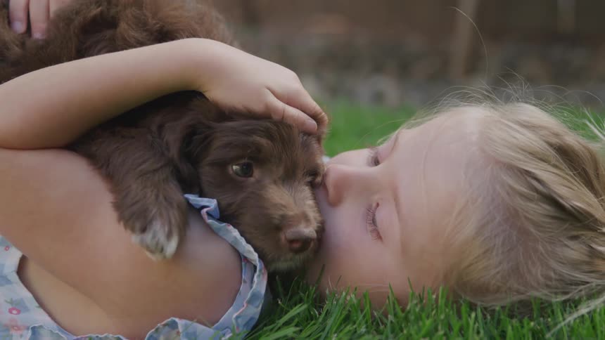 A little girl lying in the grass while holding a puppy