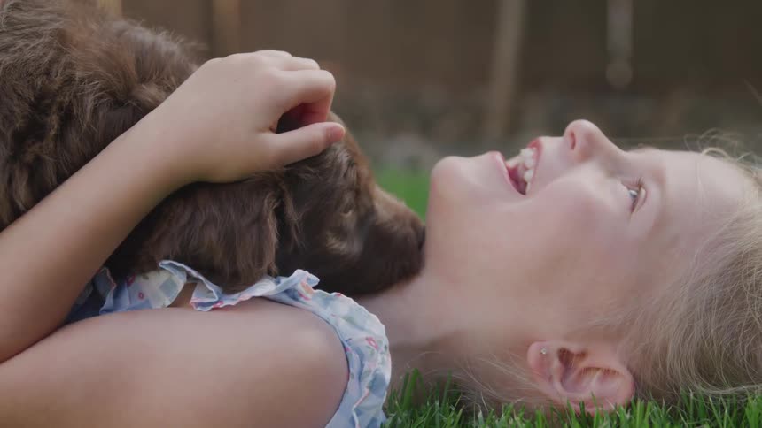 A little girl lying in the grass while being licked by a puppy being held in her arms