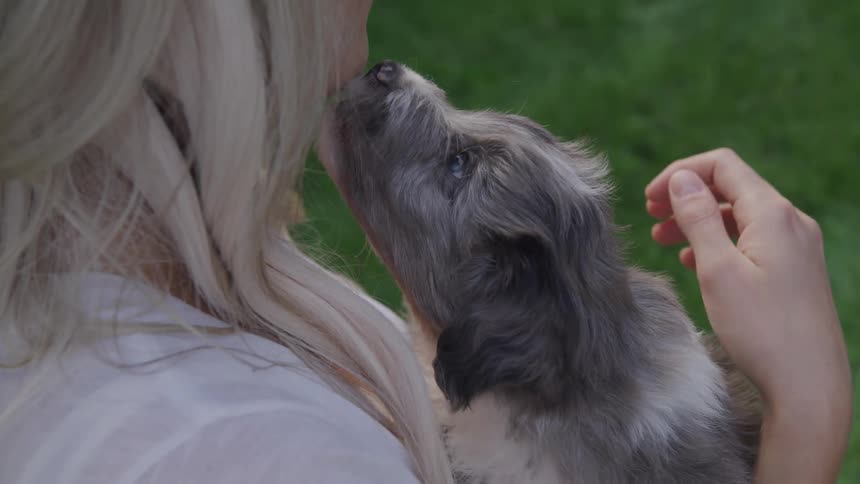 A young girl holds and pets a puppy
