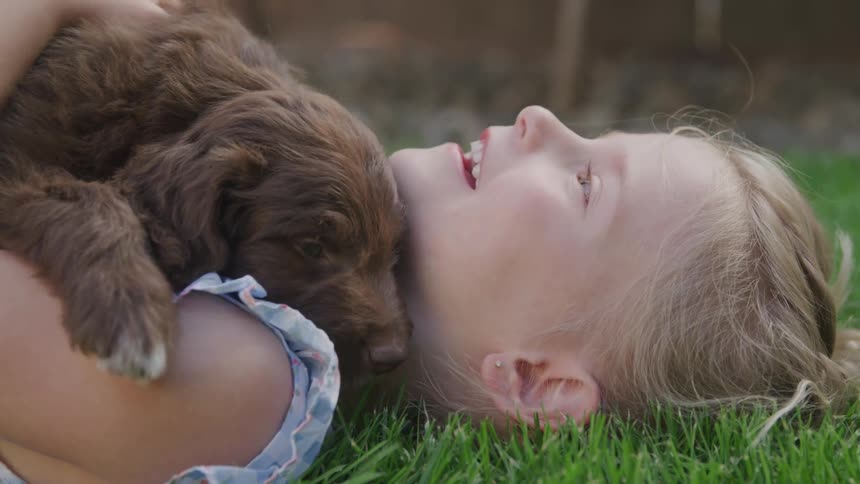 A puppy lays on a girls chest in the grass