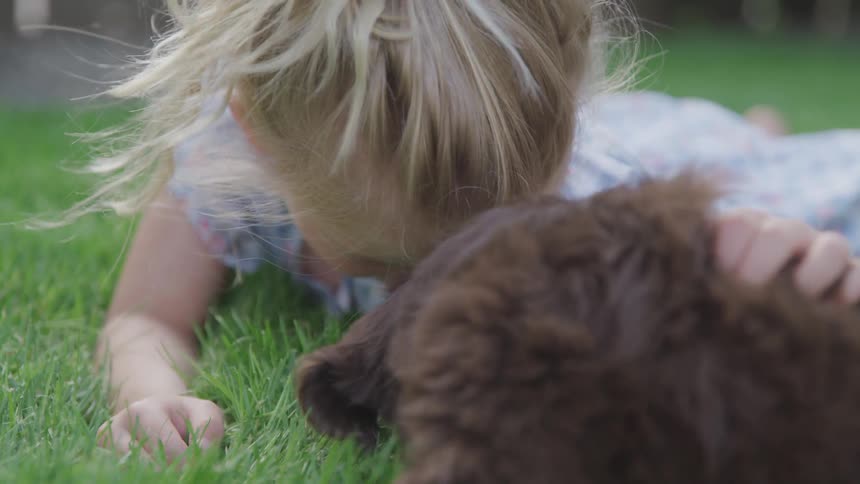 Girl playing with a puppy
