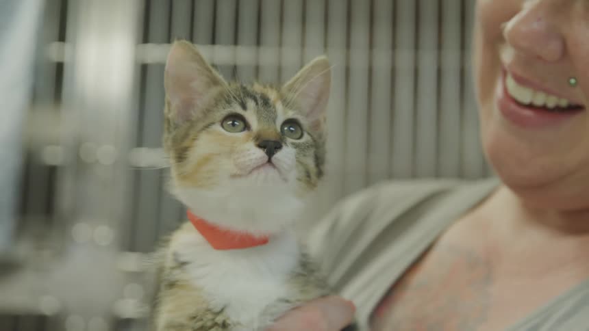 A woman holding a cat while a cat toy is waved in front of it