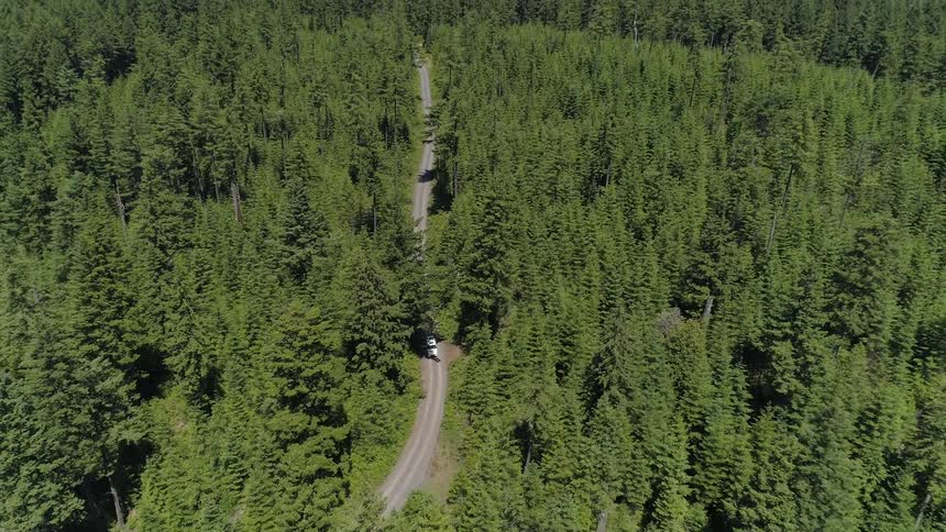 A vehicle driving on a road in the middle of the forest
