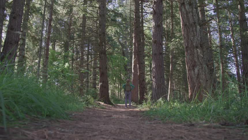 A person stands on a trail in the woods looking up at the trees and turning in a circle