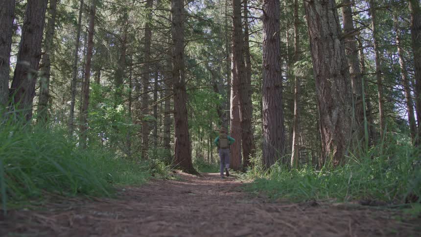 Girl walking in the woods