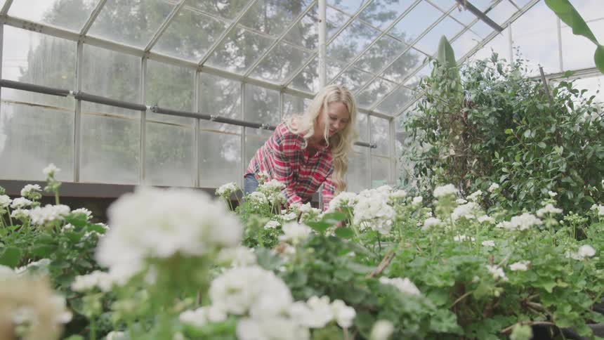 Woman gardening