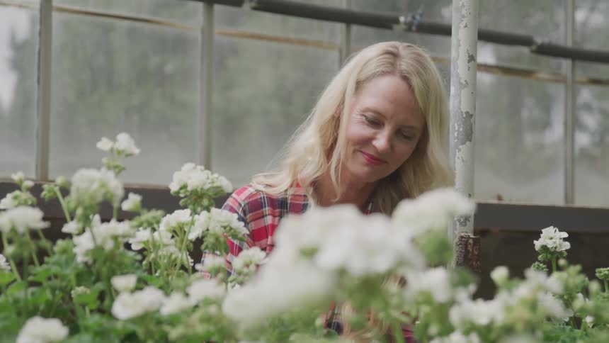 A smiling woman ends to flowers in a greenhouse