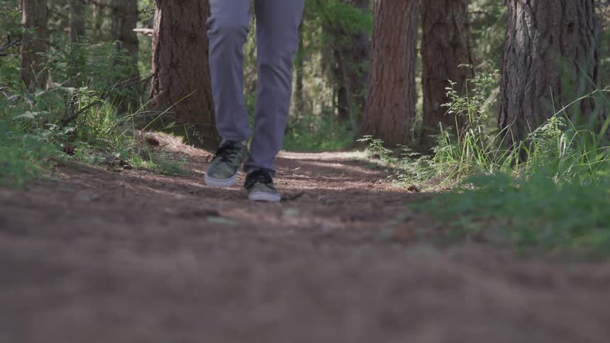 A person walking on a dirt path in the forest
