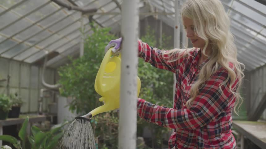 Woman watering plants