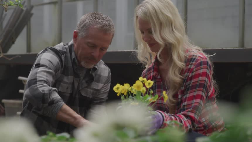 Two people planting a plant