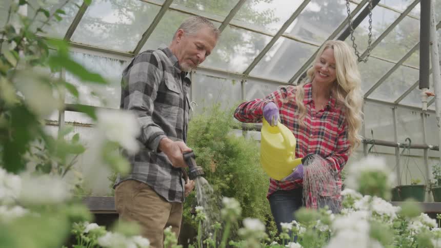 A man and woman use a watering can and hose to water greenhouse plants