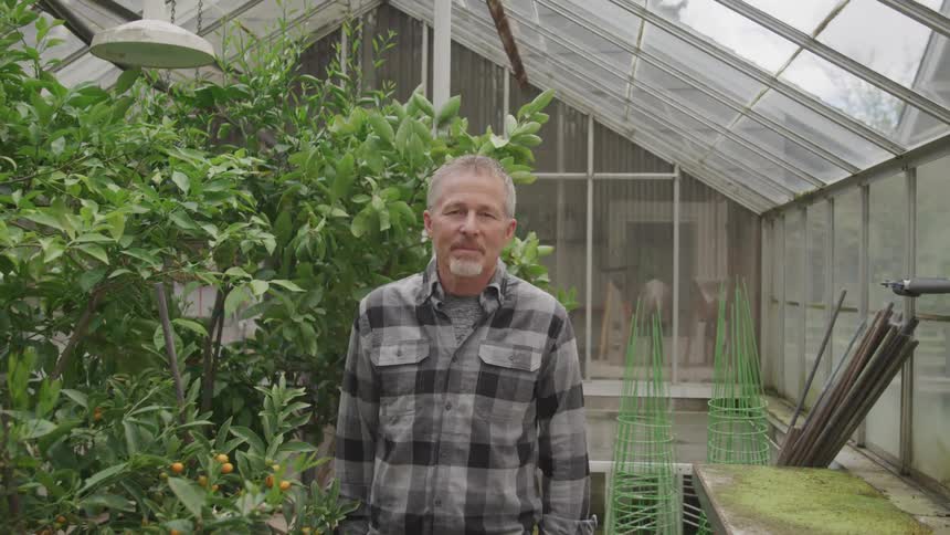 A man looks around a greenhouse