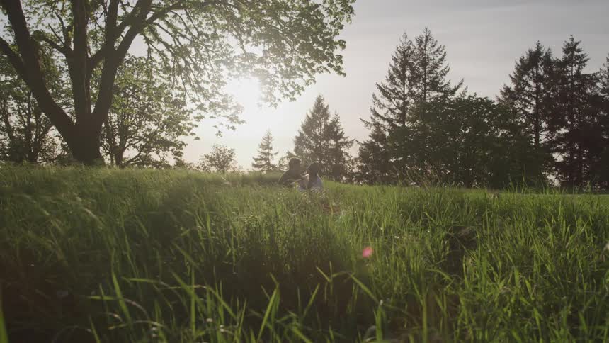 Freshly cut grass blows in the wind