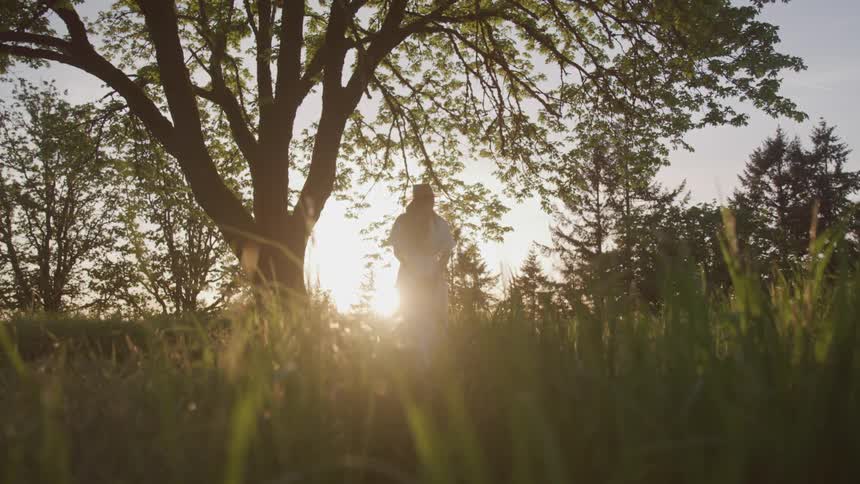 A person standing underneath a tree with the sunset in the background