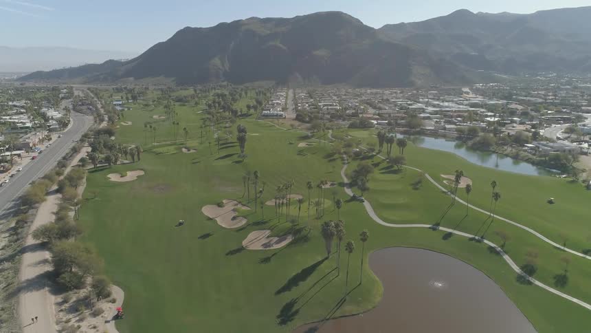 Aerial view over palm trees