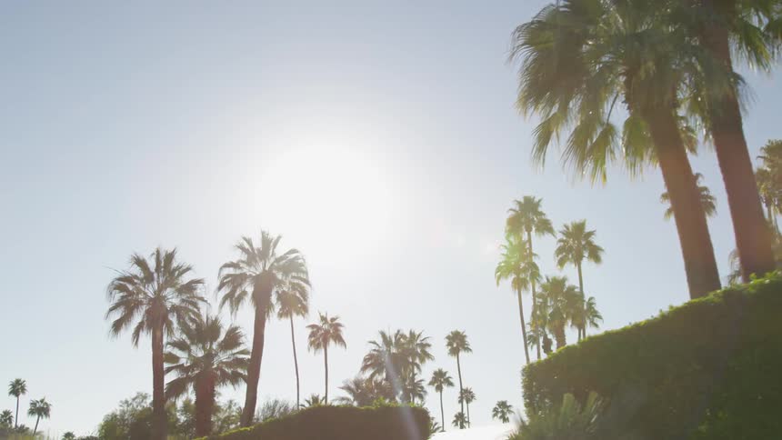 Traveling past palm trees and estate walls