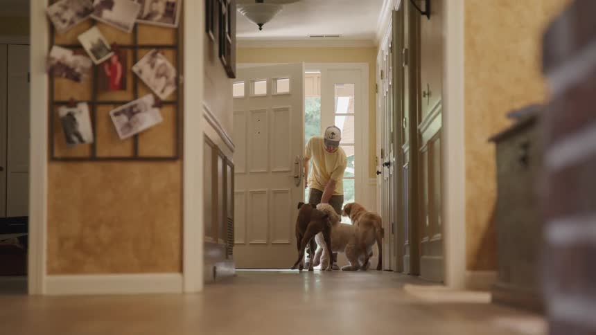 Three dogs wait at the door for their human to enter the house