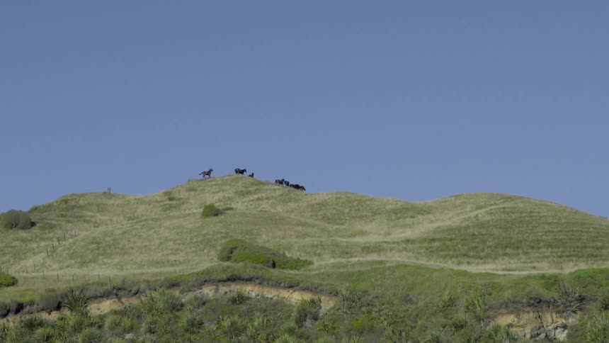 Grassy Hilltop Landscape With Rolling Green Fields Under Bright Natural Light and Blue Sky.