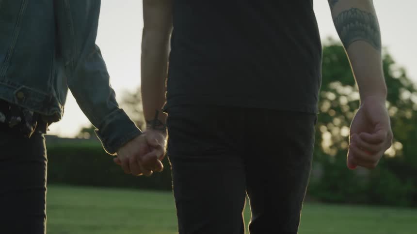 Man and woman hold hands and walk on the lawn at sunset