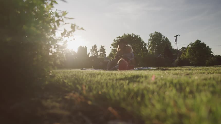 Family having a picnic on a field