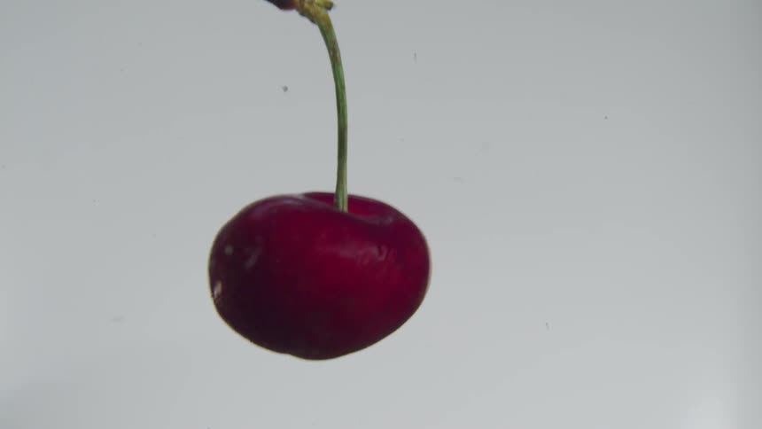 A cherry with a stem sinks down in clear liquid