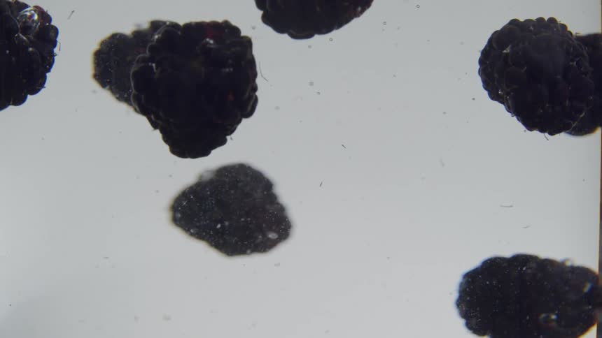 Blackberries fall into water