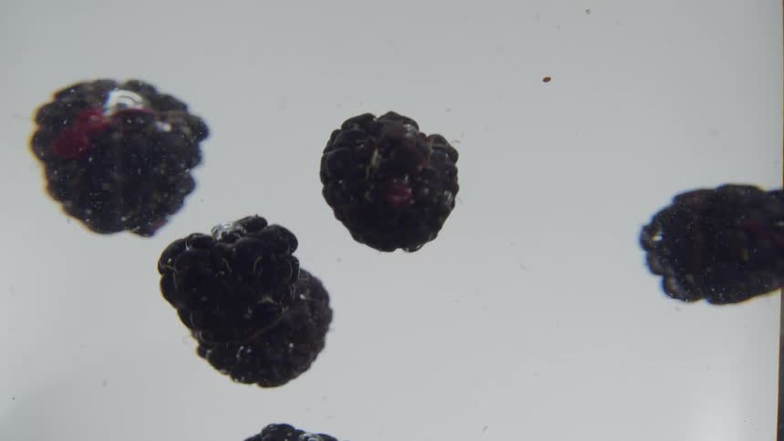 Blueberries are falling down