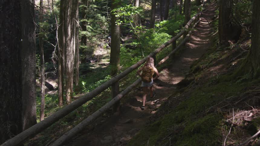 A person is using a scooter through a wooded trail path