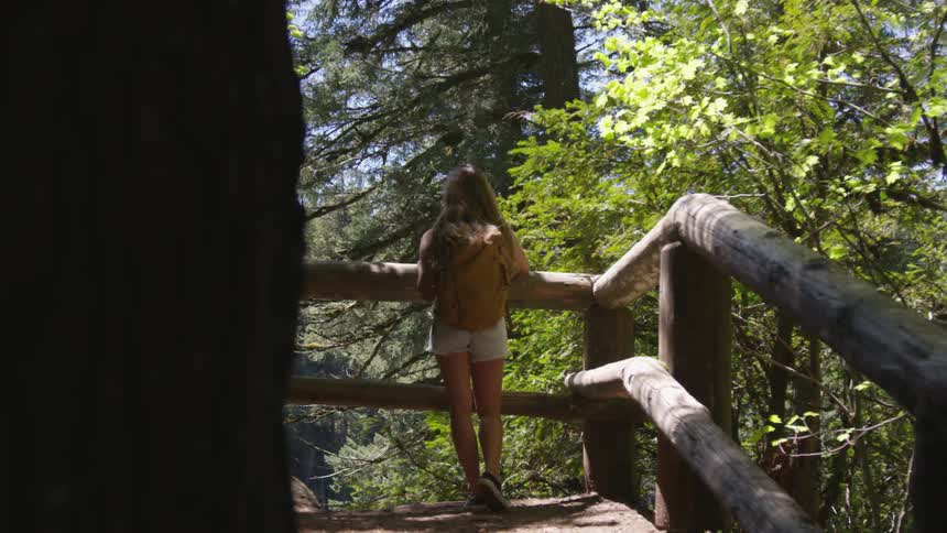 A girl wearing a backpack leans on a log railing overlooking the trees below