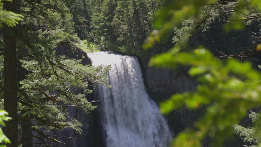 A waterfall in the forest