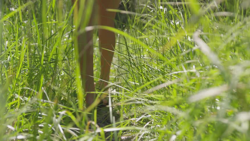 A womans legs with slippers walking through tall grass