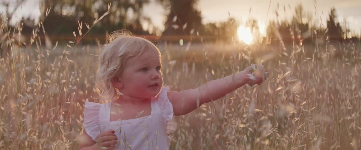 Toddler holds handful of flowers in field of tall grass at sunrise