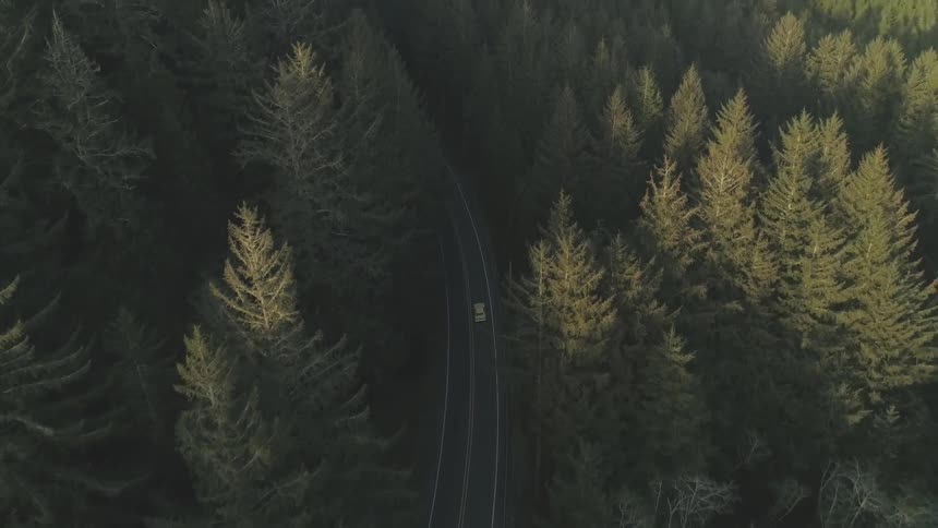 Aerial of a car traveling on a road through the forest