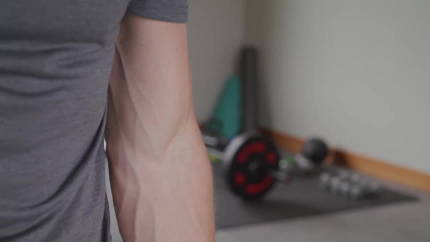 Muscular man lifting dumbbells on gym