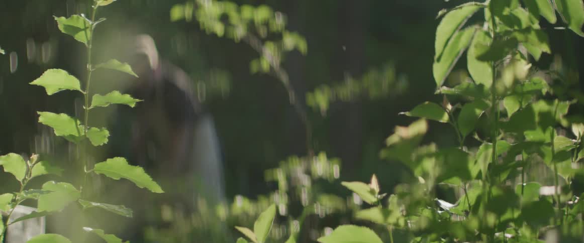 A person wearing a white apron and hat is hoeing their garden behind some bushes