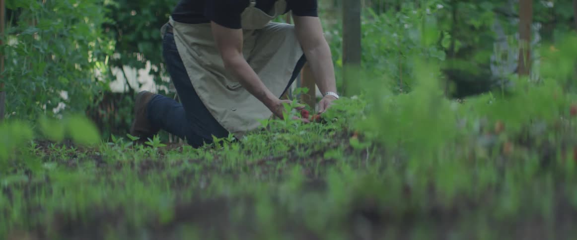 A person sifts through dirt in a wooded area
