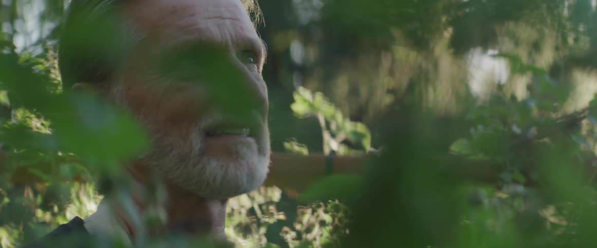 An older man looks up at the trees