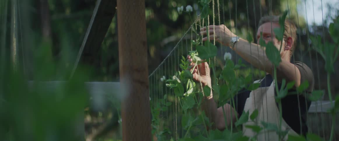Man putting vines on lines